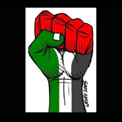 DrhaneenZboon's profile picture. Associate Professor of  postcolonial Studies and resistance Literature.
A strong fighter for knowledge and justice.