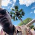 jay🇿🇲 (@jackjay2097) Twitter profile photo jay🇿🇲 (@jackjay2097) Twitter profile photo