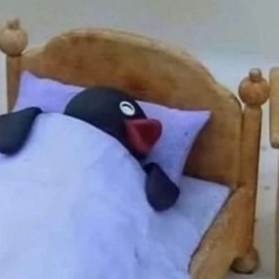 Pinguira's profile picture. kdc
AD