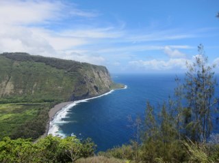 fsam888's profile picture. 