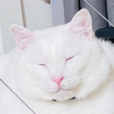 산은 산이요 물은 물이로냥🐱 2021년3월4일 무한달리기로 집사 간택함 small thing in life / 일기는 𝕏 에 📝