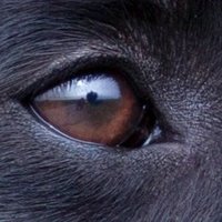nussknacker56 (@nussknacker56) 's Twitter Profile Photo nussknacker56 (@nussknacker56) 's Twitter Profile Photo