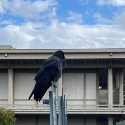 ひなりさんのプロフィール画像