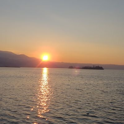 LuHighwalker's profile picture. Can someone please stop the insanity?