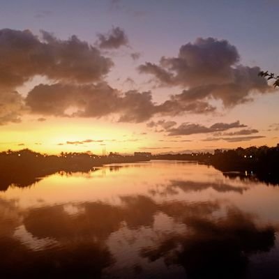 rreessttllee's profile picture. 