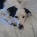 Soco Rupert Hall - @SocoBeLoco - Twitter