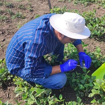 Senior Scientist (R&D) | Head IPM | Plant Doctor🌱💉🧫🧬🔬@ Hydroponics Cultivation | Soilless Production | Simply Fresh Pvt Ltd, Siddipet, Telangana.