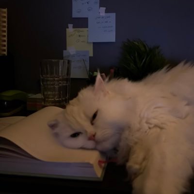 livxvli's profile picture. Time will show you who deserves you and who you deserve