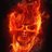MakcPerm's profile image