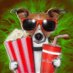 Mister_Cine (@eumarsan79) Twitter profile photo Mister_Cine (@eumarsan79) Twitter profile photo