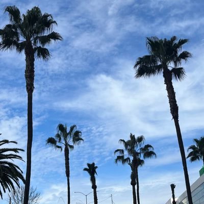 SLang7876's profile picture. 