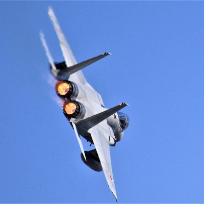 戦闘機、野鳥、競走馬などメインに撮影しています。皆様宜しければフォローお願い致します。
横田　厚木　岐阜へ撮りに行く事が多いです。