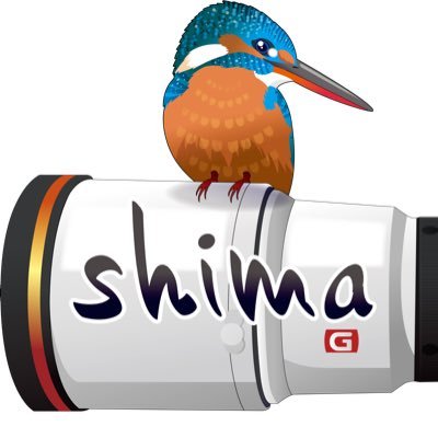 shima12041204 Profile Picture