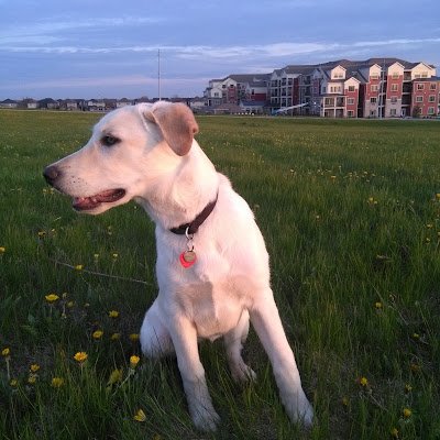 2noplace's profile picture. Observing with dread,
 as Canada, under a post #Wacko tyrany, continues to degenerate into a nation of compelled speech, tax serfdom, and crushing  debt.