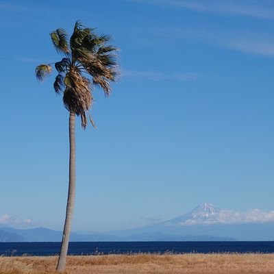 WcM4OQuoqNaPXap's profile picture. 神社、神様、龍神様、仏様、お地蔵様が好きです。最近はタロットにも興味があり。
世界情勢からスピリチュアルまで幅広く楽しく学び中。
現在メンタル心理カウンセラーの資格取得に挑戦中。