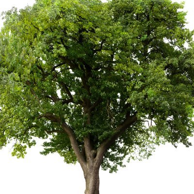 blueinkgz's profile picture. Mac，CAD/PLM，二次开发，摄影，程序人生，大土木，科幻迷，仅代表自己，不希望被带表，转长毛象@blueinkgz@m.cmx.im