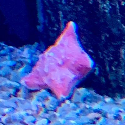 ( ⍤ )さんのプロフィール画像