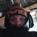 OHIO (@gerrym4ndering) Twitter profile photo OHIO (@gerrym4ndering) Twitter profile photo