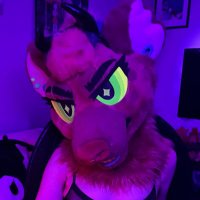 yeen bean deluxe 🐾 (@hyenahottie) 's Twitter Profile Photo