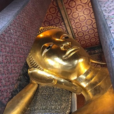 ZsroOLcVCI84RL6's profile picture. 50代です。色んな事に興味があり過ぎです。良い出会いがありますように☺️アニメ・食べること大好き、バックが上手くなりたい❤️SEGA派です。