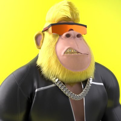 🦍G𝕠𝕣𝕚𝕝𝕝𝕒 Ⓥ J𝕒𝕜𝕖𝕤さんのプロフィール画像