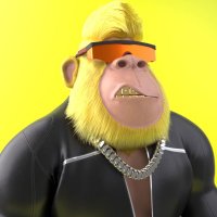 🦍G𝕠𝕣𝕚𝕝𝕝𝕒 Ⓥ J𝕒𝕜𝕖𝕤(@_Crypto_Jakes) 's Twitter Profile Photo