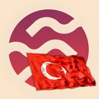 Sei Network Türkiye 🚢🇹🇷(@SeiNetworkTR) 's Twitter Profile Photo