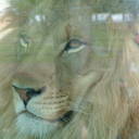 John Overall - @TourGuideSearch - Twitter