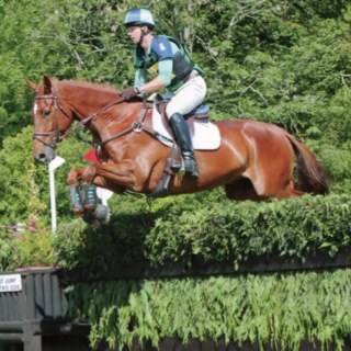 MartinRenfrey's profile picture. 