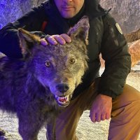 GÖKAN ASLAN (@lion_gkan) Twitter profile photo