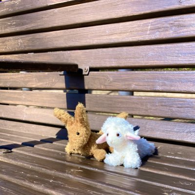 hpon_ypon's profile picture. ひろぽん(キツネ)とゆり(羊)カップルの日々の記録。でびるも仲間に加わりました。食べるの大好き食べてばっかり。パン巡りスイーツ巡りよくします🥖 ぬい撮り初心者🔰無言フォロー失礼します👐