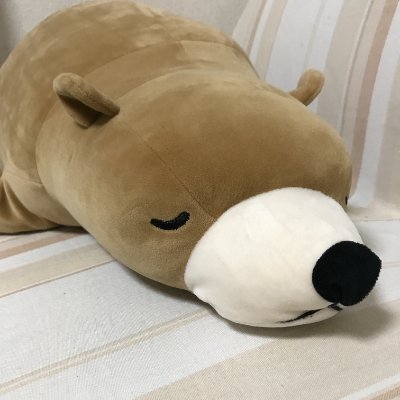 mahiroさんのプロフィール画像