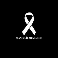 AR-GE Manisa (@argemanisa) 's Twitter Profile