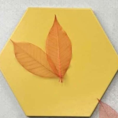 Onlyfollw's profile picture. Not interested