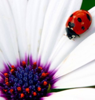 MissouriDebby's profile picture. 