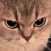 ย้ายแอคแล้วค้าบ (@kawfang7542) Twitter profile photo ย้ายแอคแล้วค้าบ (@kawfang7542) Twitter profile photo