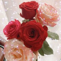 م (@ecstatic_m) 's Twitter Profile Photo