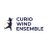 @curio_wind
