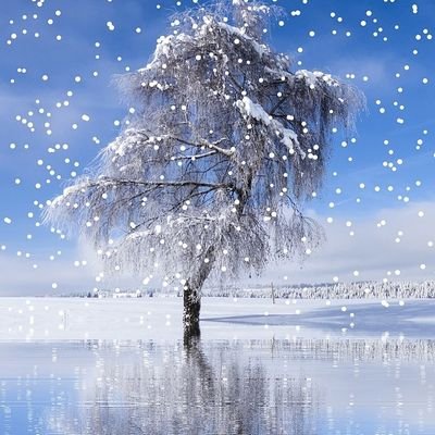 Zhoukeyu21's profile picture. 