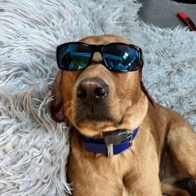 76_Westy's profile picture. 