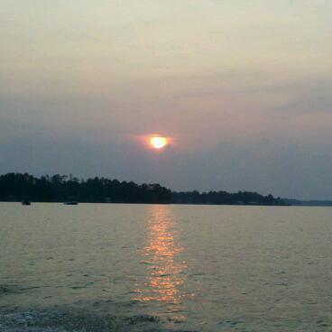 tbradleymd's profile picture. 