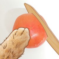 ねこのて (@_murida_yo) 's Twitter Profile
