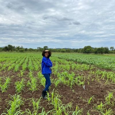 Plant breeding 🌾📖| Biotechnology🧬| Agric Research 🔬| Daughter Of The Most High😇.
