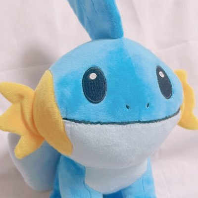 たきがみさんのプロフィール画像