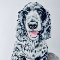Nicola Brooks (@radley_and_me) 's Twitter Profile