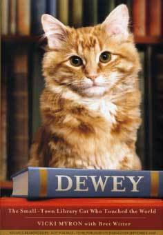 My name is Dewey Readmore Books. I lived for 18 years in Iowa, in the Spencer Public Library. I loved to make people happy. Read my book!!!!