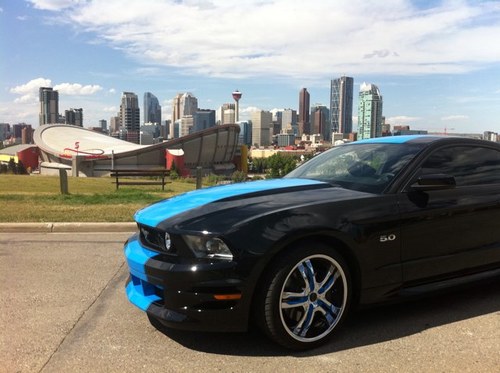 TanyaMarzoff's profile picture. Just existing…