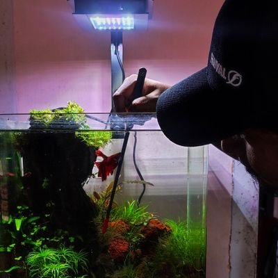 I am a Professional Aquascaper and 'Director - Sales' for Maplepets who is The Exclusive Importer of Hagen products in India.
#FluvalIndia