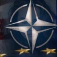 Lt.Annette Nicholson (@annette65740700) 's Twitter Profile