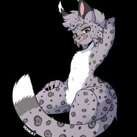 Typhoon_Lynx (@typhoon_lynx) 's Twitter Profile Photo Typhoon_Lynx (@typhoon_lynx) 's Twitter Profile Photo